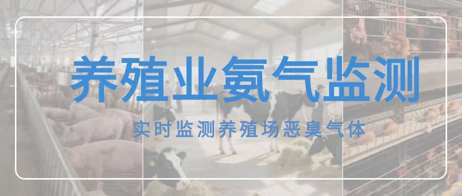 首图.jpg